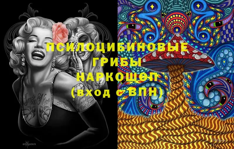 Псилоцибиновые грибы Psilocybine cubensis  Абдулино 